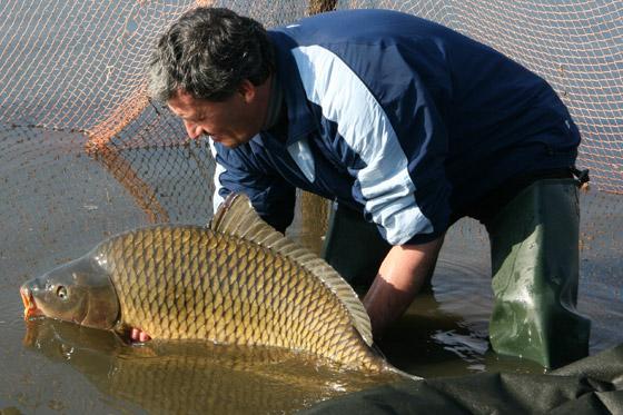Noutati la Tancabesti